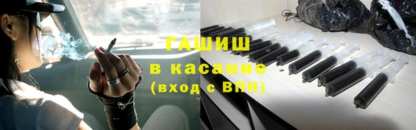 индика Дмитров