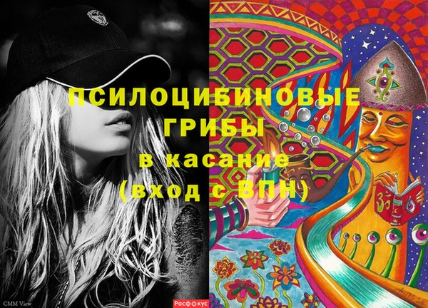 соль ск Богданович