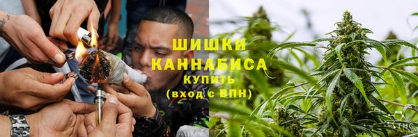 прущая мука Бородино